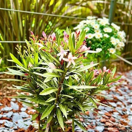 New Lux Smart 69m2,terrasse, Modern, Metro 13 *